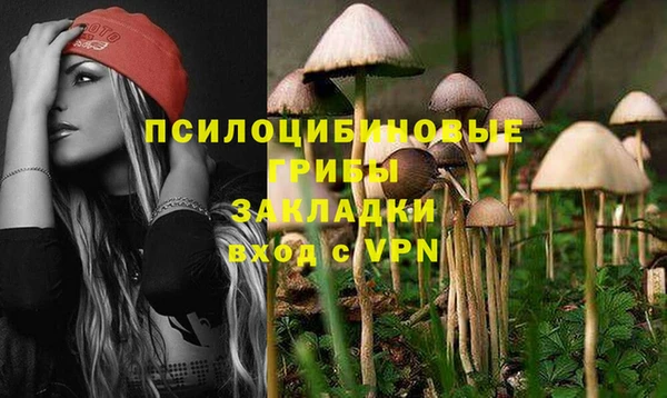 тгк Арсеньев
