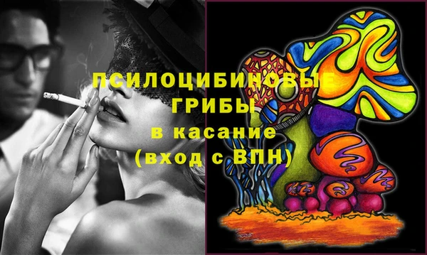 тгк Арсеньев