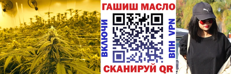 Дистиллят ТГК Wax  Можга 